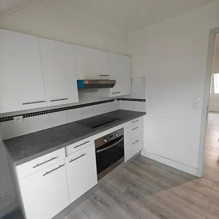 Cosy F2 Clim Parking Center Near Basel Boarder *