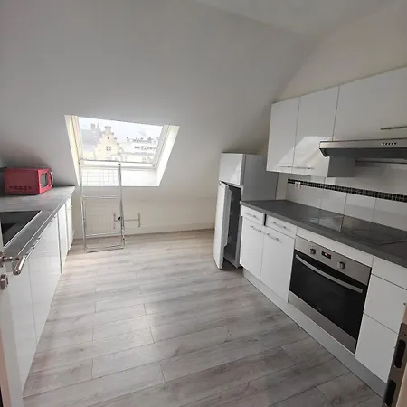 公寓 Cosy F2 Clim Parking Center Near Basel Boarder 圣路易
