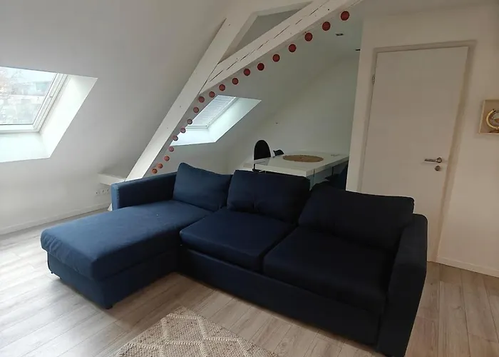 公寓 Cosy F2 Clim Parking Center Near Basel Boarder 圣路易