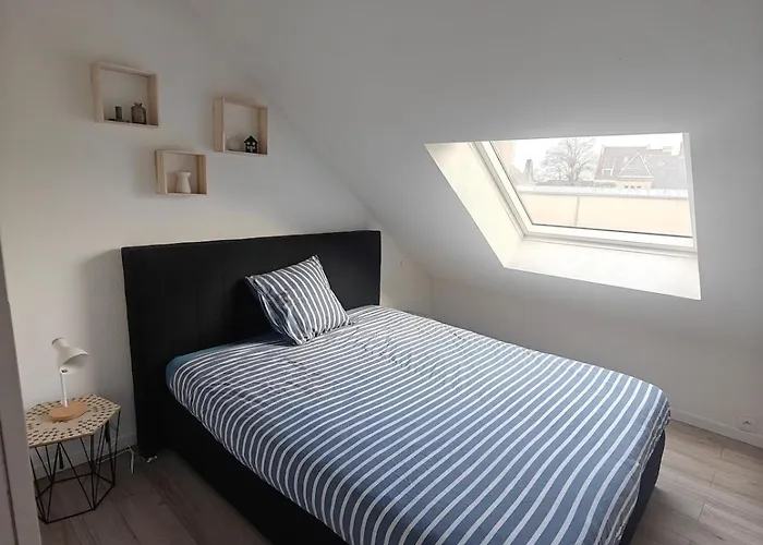 公寓 Cosy F2 Clim Parking Center Near Basel Boarder 圣路易